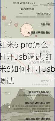 红米6 pro怎么打开usb调试,红米6如何打开usb调试