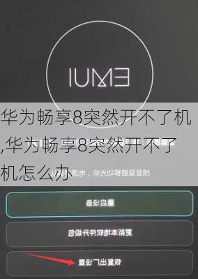 华为畅享8突然开不了机,华为畅享8突然开不了机怎么办