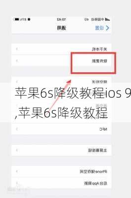 苹果6s降级教程ios 9,苹果6s降级教程