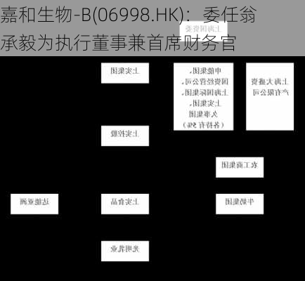 嘉和生物-B(06998.HK)：委任翁承毅为执行董事兼首席财务官