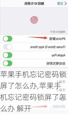 苹果手机忘记密码锁屏了怎么办,苹果手机忘记密码锁屏了怎么办 解开