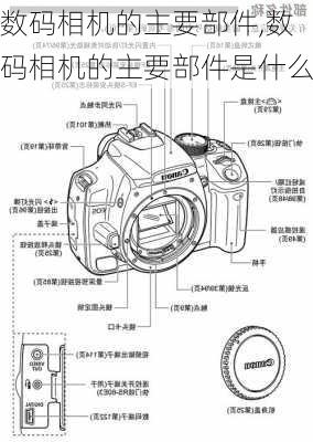 数码相机的主要部件,数码相机的主要部件是什么