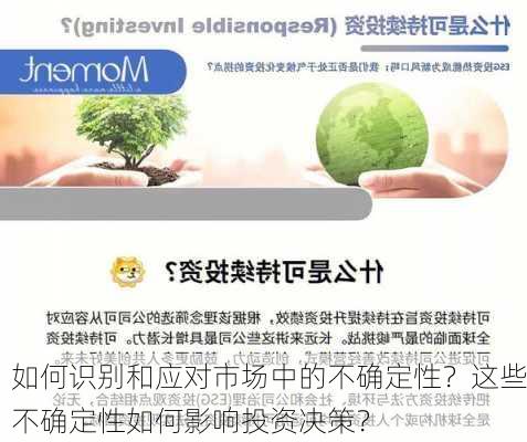 如何识别和应对市场中的不确定性？这些不确定性如何影响投资决策？