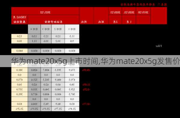 华为mate20x5g上市时间,华为mate20x5g发售价