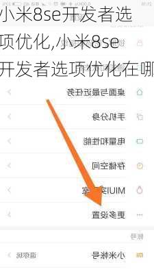 小米8se开发者选项优化,小米8se开发者选项优化在哪