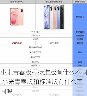 小米青春版和标准版有什么不同,小米青春版和标准版有什么不同吗