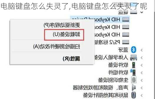 电脑键盘怎么失灵了,电脑键盘怎么失灵了呢