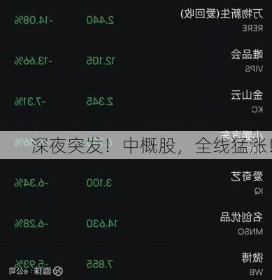 深夜突发！中概股，全线猛涨！