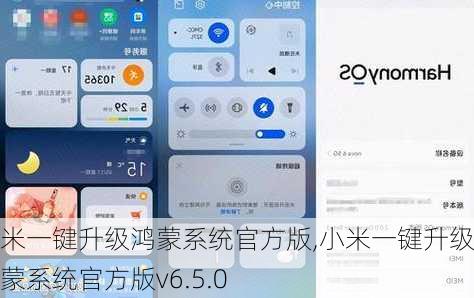 小米一键升级鸿蒙系统官方版,小米一键升级鸿蒙系统官方版v6.5.0