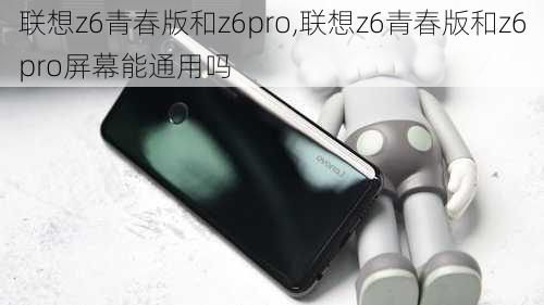 联想z6青春版和z6pro,联想z6青春版和z6pro屏幕能通用吗