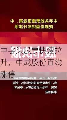 中字头股票快速拉升，中成股份直线涨停