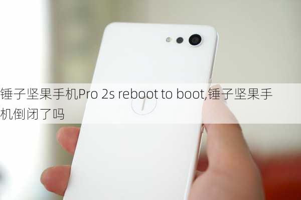 锤子坚果手机Pro 2s reboot to boot,锤子坚果手机倒闭了吗