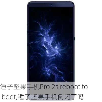 锤子坚果手机Pro 2s reboot to boot,锤子坚果手机倒闭了吗