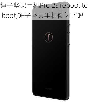 锤子坚果手机Pro 2s reboot to boot,锤子坚果手机倒闭了吗