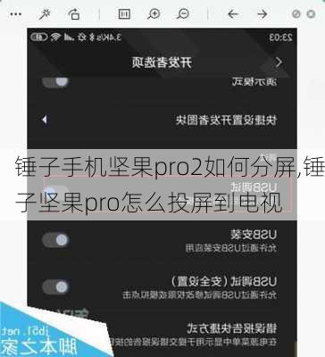 锤子手机坚果pro2如何分屏,锤子坚果pro怎么投屏到电视