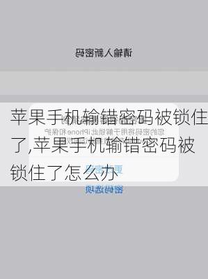 苹果手机输错密码被锁住了,苹果手机输错密码被锁住了怎么办