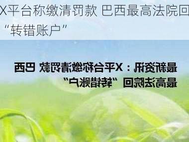 X平台称缴清罚款 巴西最高法院回“转错账户”