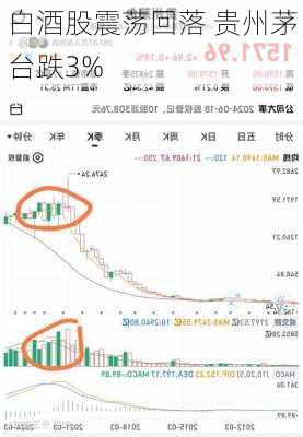 白酒股震荡回落 贵州茅台跌3%