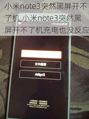 小米note3突然黑屏开不了机,小米note3突然黑屏开不了机充电也没反应