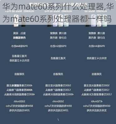 华为mate60系列什么处理器,华为mate60系列处理器都一样吗