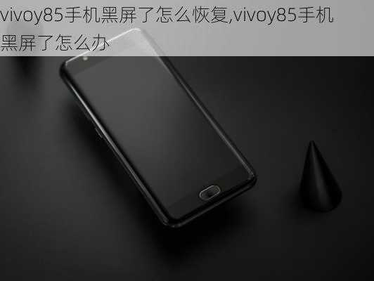 vivoy85手机黑屏了怎么恢复,vivoy85手机黑屏了怎么办