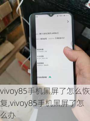 vivoy85手机黑屏了怎么恢复,vivoy85手机黑屏了怎么办