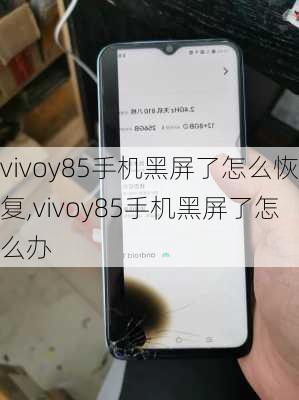 vivoy85手机黑屏了怎么恢复,vivoy85手机黑屏了怎么办