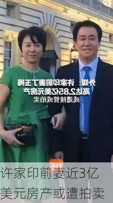 许家印前妻近3亿美元房产或遭拍卖