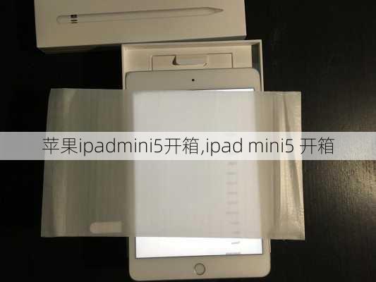 苹果ipadmini5开箱,ipad mini5 开箱