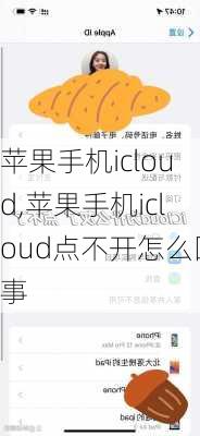 苹果手机icloud,苹果手机icloud点不开怎么回事