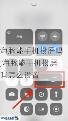 海豚能手机投屏吗,海豚能手机投屏吗怎么设置