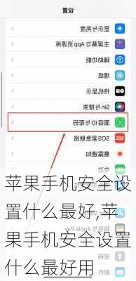 苹果手机安全设置什么最好,苹果手机安全设置什么最好用