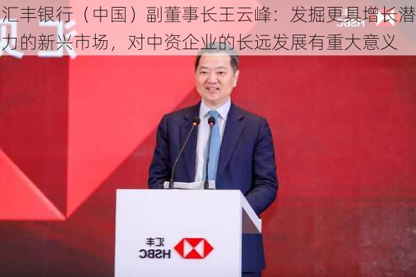 汇丰银行（中国）副董事长王云峰：发掘更具增长潜力的新兴市场，对中资企业的长远发展有重大意义