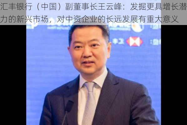 汇丰银行（中国）副董事长王云峰：发掘更具增长潜力的新兴市场，对中资企业的长远发展有重大意义