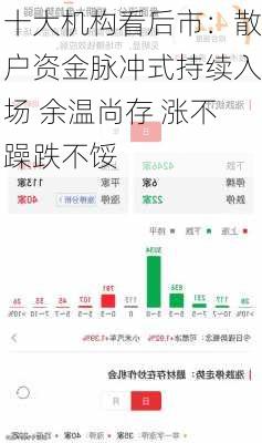 十大机构看后市：散户资金脉冲式持续入场 余温尚存 涨不躁跌不馁