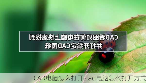 CAD电脑怎么打开,cad电脑怎么打开方式