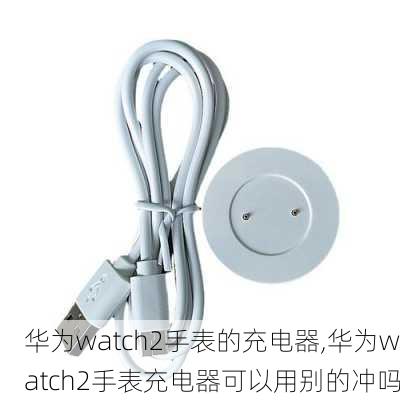 华为watch2手表的充电器,华为watch2手表充电器可以用别的冲吗