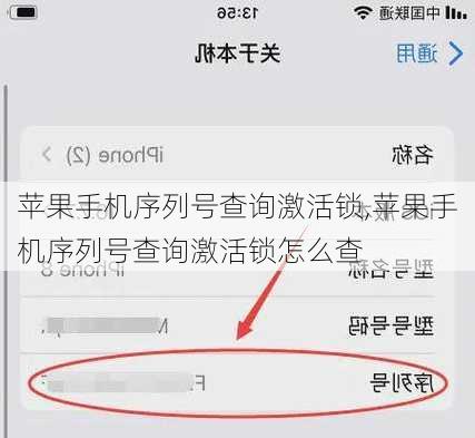 苹果手机序列号查询激活锁,苹果手机序列号查询激活锁怎么查