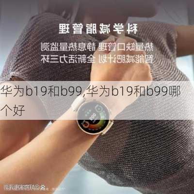 华为b19和b99,华为b19和b99哪个好