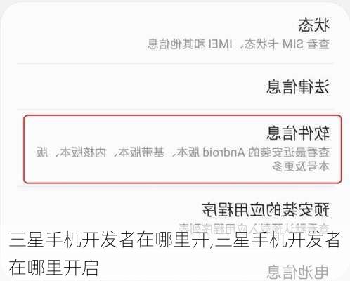 三星手机开发者在哪里开,三星手机开发者在哪里开启