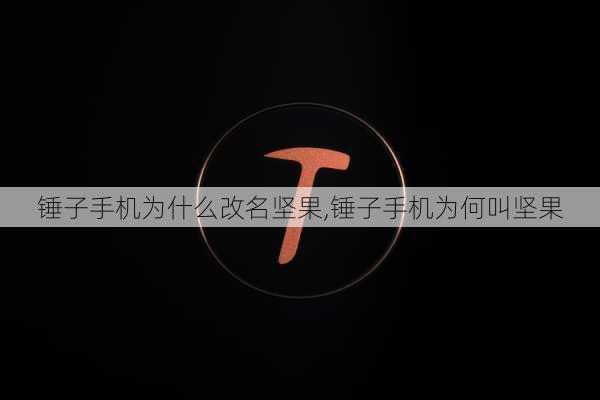 锤子手机为什么改名坚果,锤子手机为何叫坚果