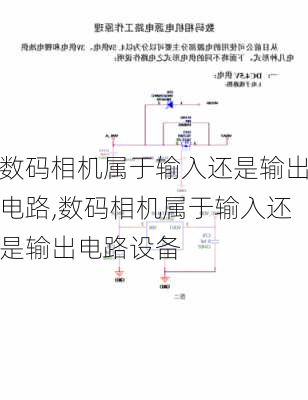 数码相机属于输入还是输出电路,数码相机属于输入还是输出电路设备