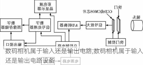 数码相机属于输入还是输出电路,数码相机属于输入还是输出电路设备