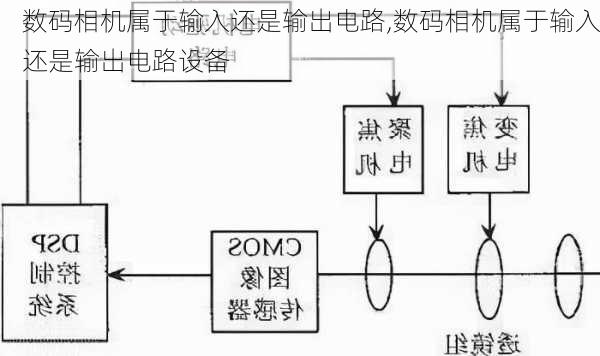 数码相机属于输入还是输出电路,数码相机属于输入还是输出电路设备