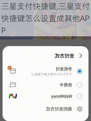 三星支付快捷键,三星支付快捷键怎么设置成其他APP