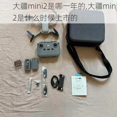 大疆mini2是哪一年的,大疆mini2是什么时候上市的