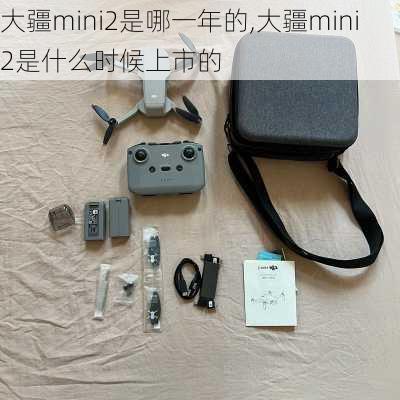 大疆mini2是哪一年的,大疆mini2是什么时候上市的