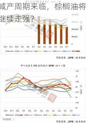 减产周期来临，棕榈油将继续走强？