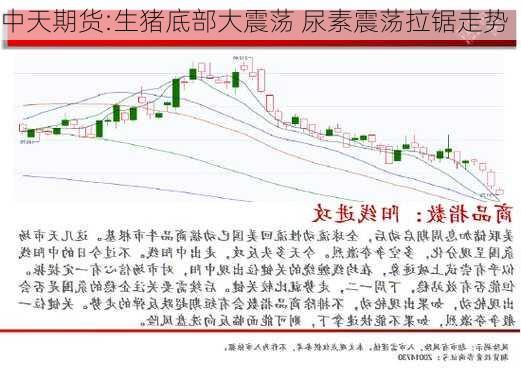 中天期货:生猪底部大震荡 尿素震荡拉锯走势