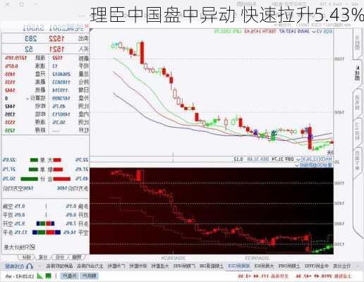 理臣中国盘中异动 快速拉升5.43%